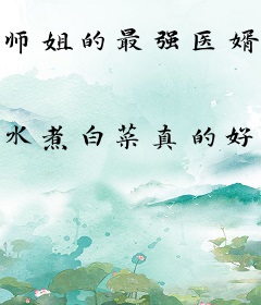 师姐的最强医婿