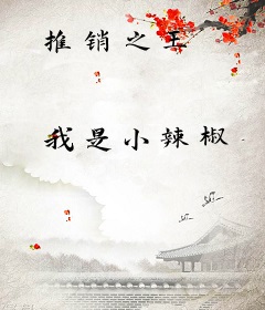 推销之王