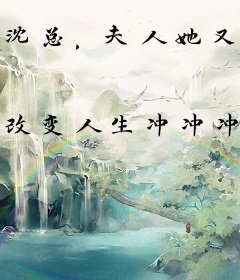 沈总，夫人她又重生了