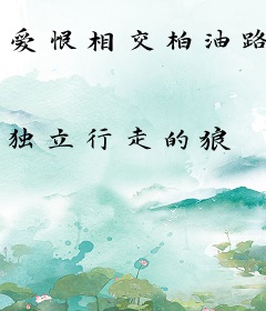 爱恨相交柏油路