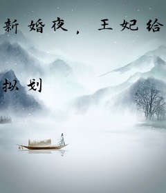 新婚夜，王妃给战王三宫六院牵红线