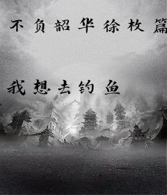 不负韶华徐枚篇