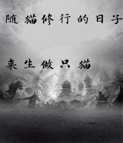 随猫修行的日子