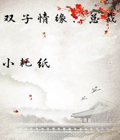 双子情缘：总裁爹地别追了