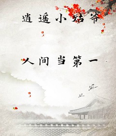 逍遥小姑爷