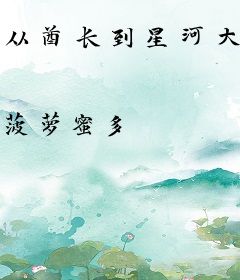 从酋长到星河大帝