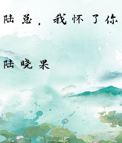 陆总，我怀了你的小祖宗
