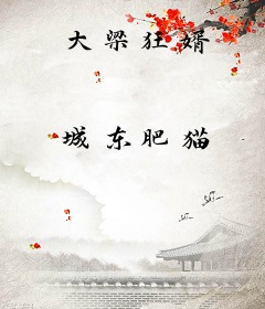 大梁狂婿