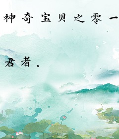 神奇宝贝之零一