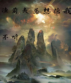 渣前夫总想抢我儿砸