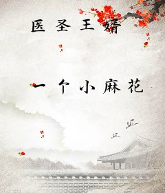 医圣王婿