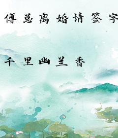 傅总离婚请签字