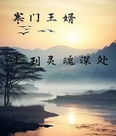 寒门王婿