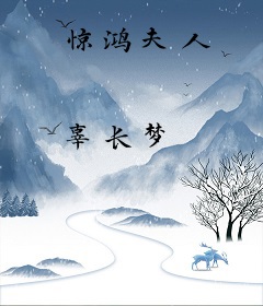 惊鸿夫人