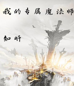 我的专属魔法师