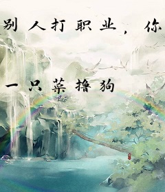 别人打职业，你是来打集锦的？
