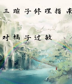 三蹦子修理指南
