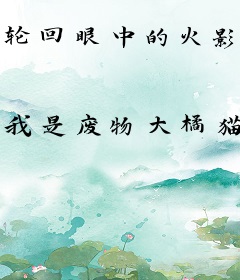 轮回眼中的火影