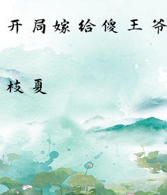 开局嫁给傻王爷