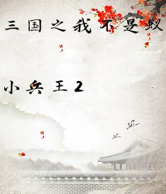 三国之我不是蚁贼