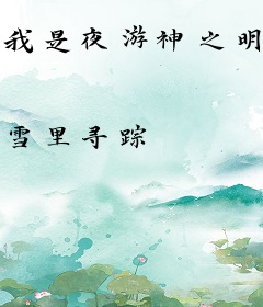 我是夜游神之明灯
