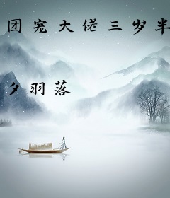 团宠大佬三岁半