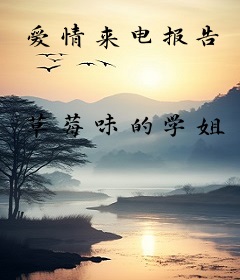 爱情来电报告