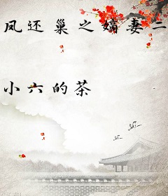 凤还巢之嫡妻二嫁