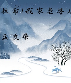 救命！我家老婆从书里穿出来了