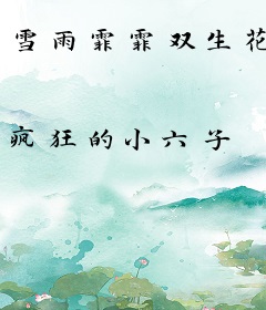 雪雨霏霏双生花