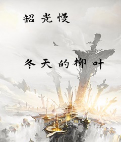 韶光慢