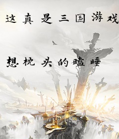 这真是三国游戏