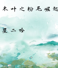 木叶之粉毛崛起