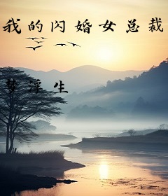 我的闪婚女总裁凌宇
