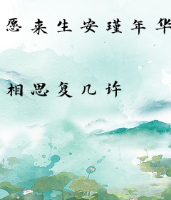 愿来生安瑾年华