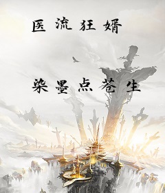 医流狂婿