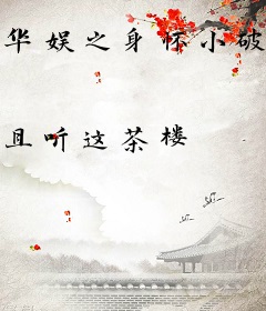 华娱之身怀小破站