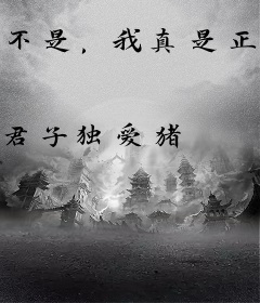 不是，我真是正人君子啊