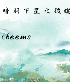 暗羽下星之彼端