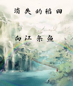 消失的稻田
