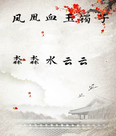 凤凰血玉镯子