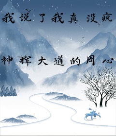 我说了我真没疯