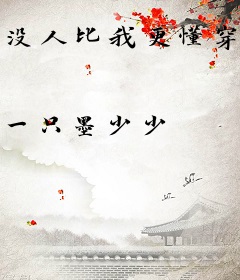 没人比我更懂穿越！