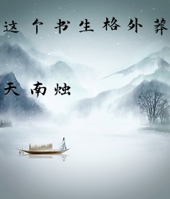 这个书生格外莽撞