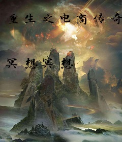 重生之电商传奇
