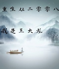 重生从二零零八开始