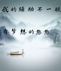 我的辅助不一般