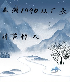 弄潮1990从厂长开始