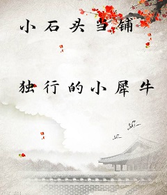 小石头当铺
