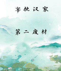 宰执汉家